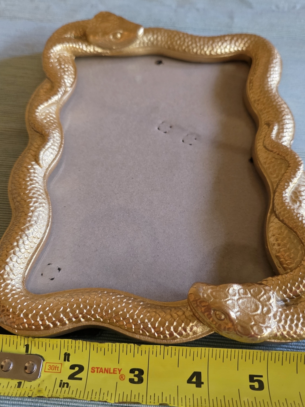 GOLD SNAKE Frame 5x7 Photo - Picture 12 of 16